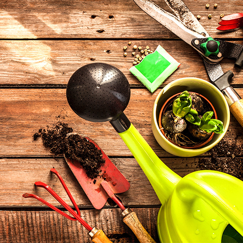 Gardening & Lawn Maintenance